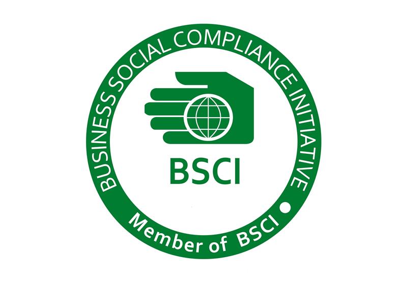 BSCI(圖1)